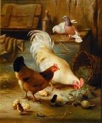 unknow artist, Poultry 091